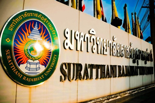 บริการพัฒนาซอฟต์แวร์